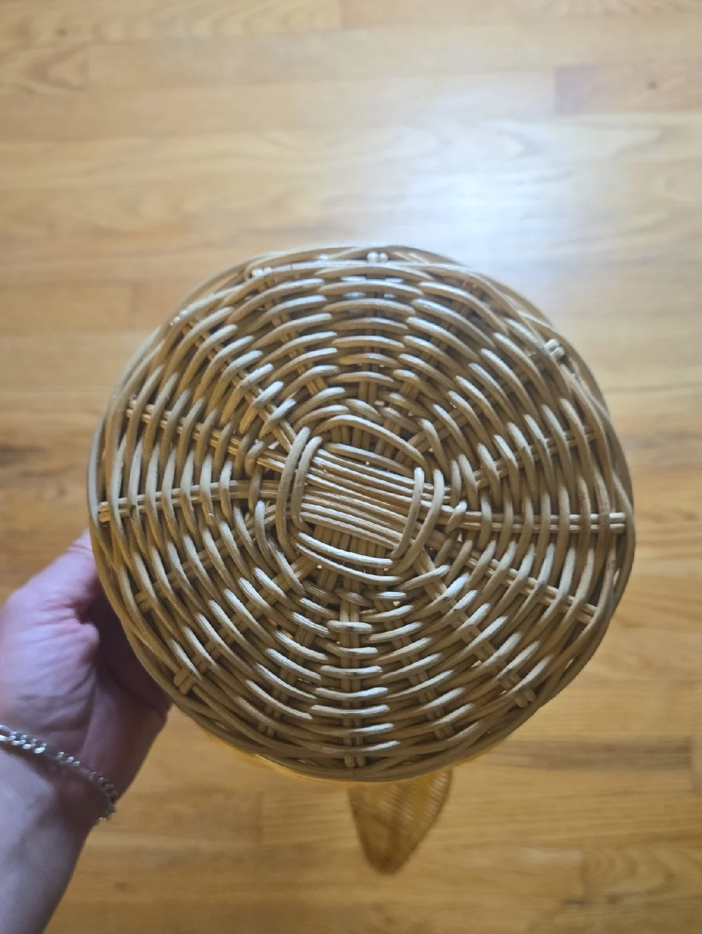 Anthropologie Terrain unique HTF wicker Bird Of Paradise plant